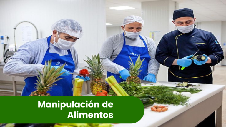 MANIPULACION DE ALIMENTOS